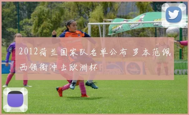 2012荷兰国家队名单公布 罗本范佩西领衔冲击欧洲杯